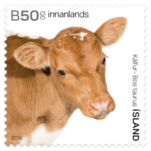 Stamp 662A Bos Taurus - The calf
