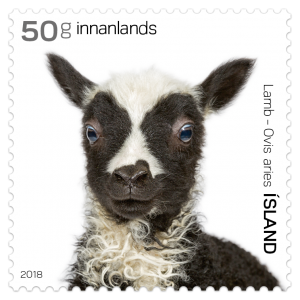 Stamp 662B Ovis Aries - The lamb