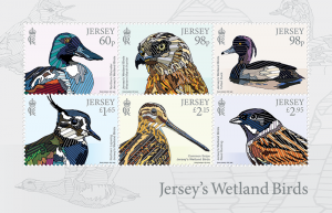 Jersey Wetland Birds 